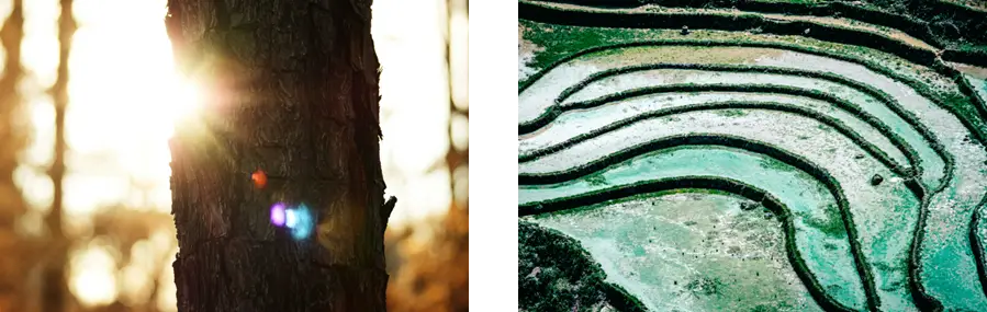 Origins with purpose Image